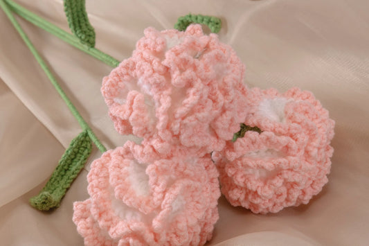 Celebrate the New Year with January’s Birth Flower: The Carnation