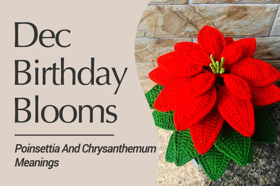 December Birth Flowers: Symbolism, Beauty, and Meaning