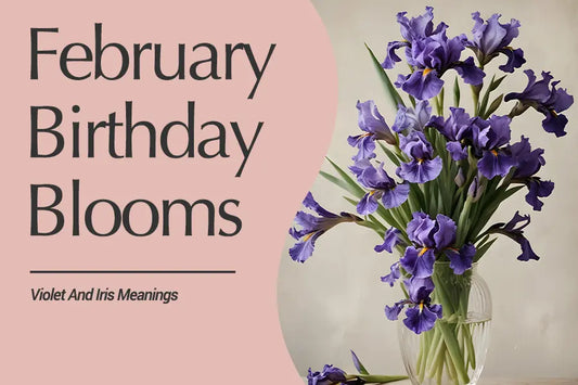 February Birth Flowers: The Meaning of Violet and Iris