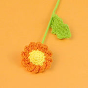 Daisy