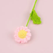 Daisy