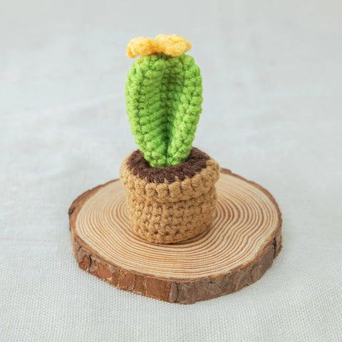AMOR Cactus de ganchillo, Planta en maceta de cactus hecha a mano, Plantas de maceta de ganchillo, Planta de ganchillo, Regalo para ella, Decoración de escritorio, Regalo del día de San Valentín, Conjunto de 4