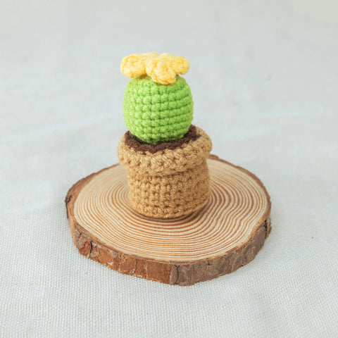 AMOR Cactus de ganchillo, Planta en maceta de cactus hecha a mano, Plantas de maceta de ganchillo, Planta de ganchillo, Regalo para ella, Decoración de escritorio, Regalo del día de San Valentín, Conjunto de 4
