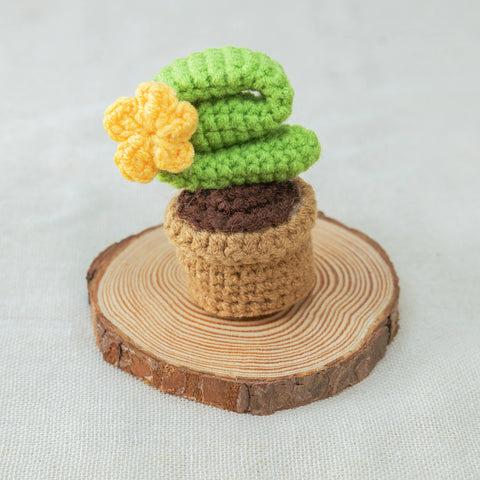 AMOR Cactus de ganchillo, Planta en maceta de cactus hecha a mano, Plantas de maceta de ganchillo, Planta de ganchillo, Regalo para ella, Decoración de escritorio, Regalo del día de San Valentín, Conjunto de 4