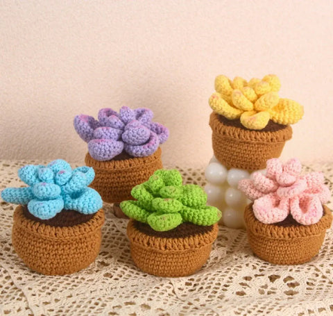 Plantes succulentes en pot au crochet, plantes en pot tricotées à la main, cadeau au crochet, décor de bureau, fleurs au crochet, cadeau de la Saint-Valentin, cadeau pour elle