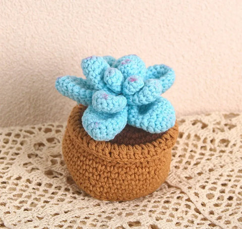 Plantes succulentes en pot au crochet, plantes en pot tricotées à la main, cadeau au crochet, décor de bureau, fleurs au crochet, cadeau de la Saint-Valentin, cadeau pour elle