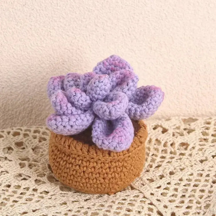 Plantes succulentes en pot au crochet, plantes en pot tricotées à la main, cadeau au crochet, décor de bureau, fleurs au crochet, cadeau de la Saint-Valentin, cadeau pour elle