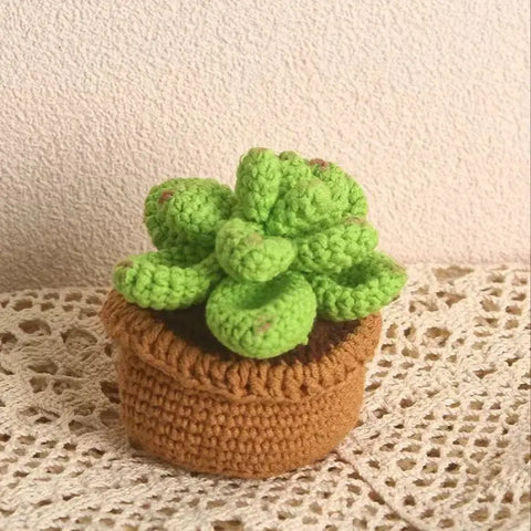 Plantes succulentes en pot au crochet, plantes en pot tricotées à la main, cadeau au crochet, décor de bureau, fleurs au crochet, cadeau de la Saint-Valentin, cadeau pour elle
