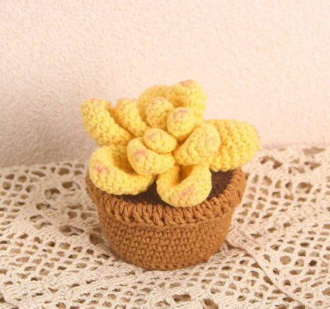 Plantes succulentes en pot au crochet, plantes en pot tricotées à la main, cadeau au crochet, décor de bureau, fleurs au crochet, cadeau de la Saint-Valentin, cadeau pour elle