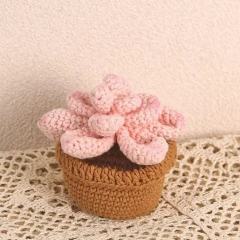 Plantes succulentes en pot au crochet, plantes en pot tricotées à la main, cadeau au crochet, décor de bureau, fleurs au crochet, cadeau de la Saint-Valentin, cadeau pour elle