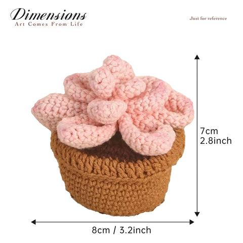 Plantes succulentes en pot au crochet, plantes en pot tricotées à la main, cadeau au crochet, décor de bureau, fleurs au crochet, cadeau de la Saint-Valentin, cadeau pour elle