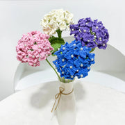 Hydrangea