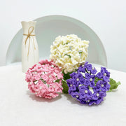 Hydrangea