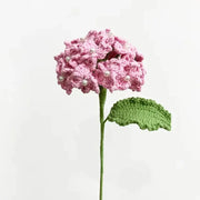 Hydrangea