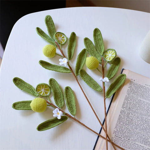 Fleurs au crochet, Citronnier au crochet, Fraise au crochet, Ensemble de 2, Cadeau de la Saint-Valentin, Cadeau au crochet, Cadeau pour elle, Plante au crochet
