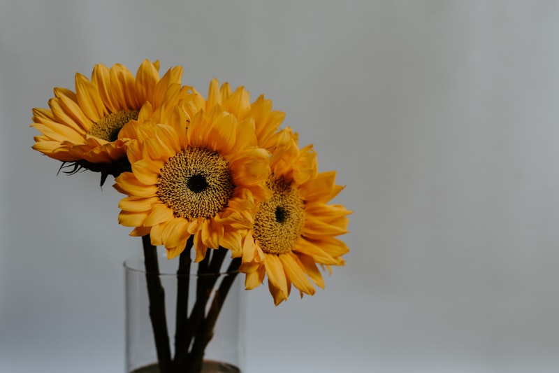[TEST] Sunshine Mixed Bouquet for Girlfriend (20251022-1420)