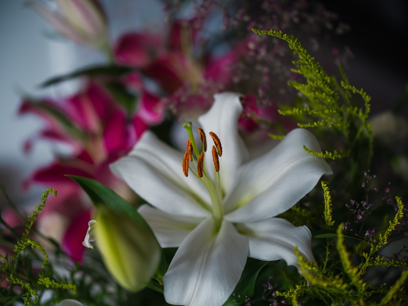 Elegant White Lilies for Mother (Order: 20251022-1452)