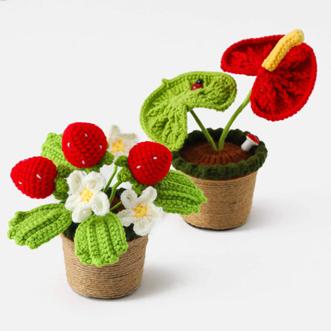 YSHomy Crochet Strawberry & Anthurium Potted Plant