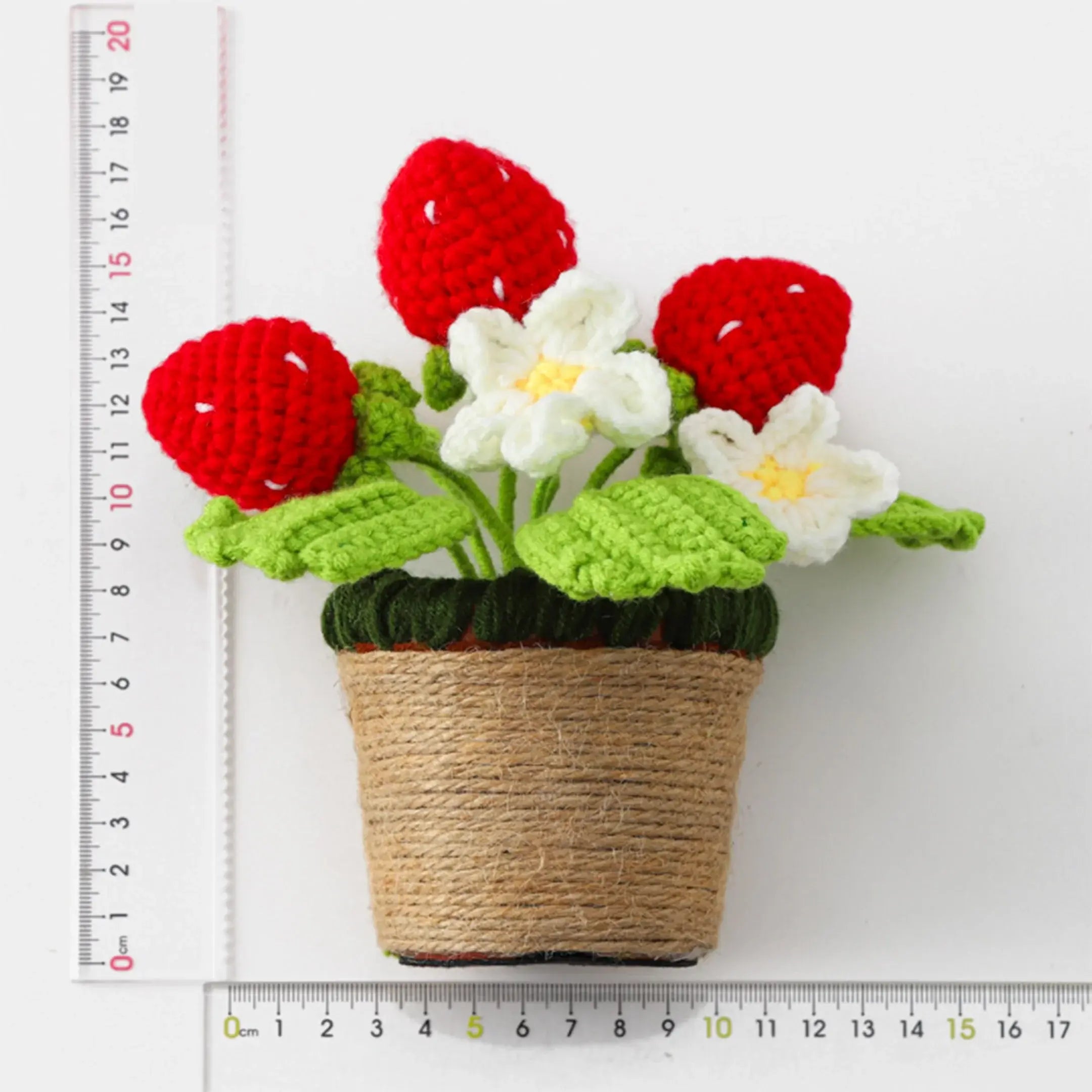 YSHomy Crochet Strawberry & Anthurium Potted Plant
