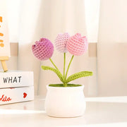 YSHomy all'uncinetto Tulip Pot gradiente
